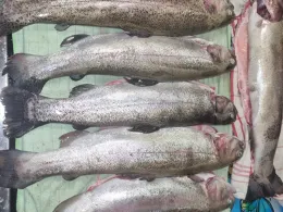 Angelpark Molzmühle (Wegberg)-1