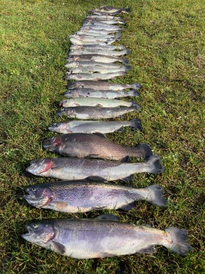 Angelpark Molzmühle (Wegberg)-3