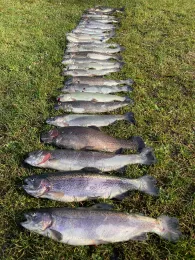 Angelpark Molzmühle (Wegberg)-3