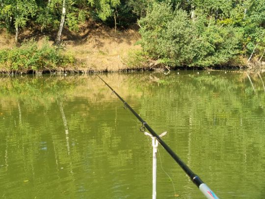 Angelpark Molzmühle (Wegberg)-2