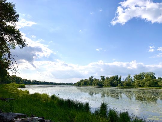 Zuwachs (Magdeburg)-1