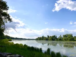 Zuwachs (Magdeburg)-1