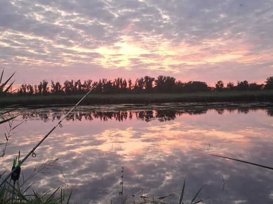 Zuwachs (Magdeburg)-2