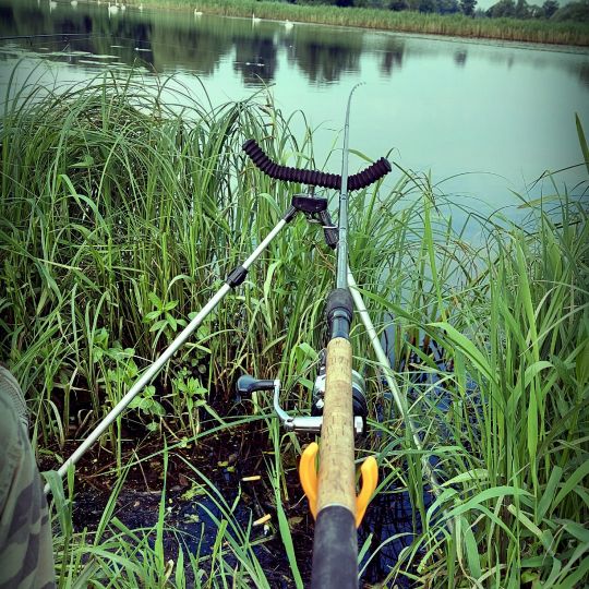 Zuwachs (Magdeburg)-4