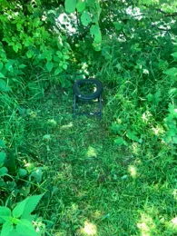 Freiberger Mulde (Leisnig)-2