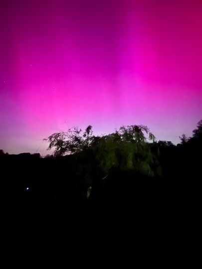 Freiberger Mulde (Leisnig)-3