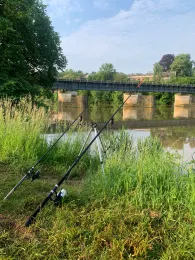 Freiberger Mulde (Leisnig)-1