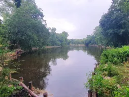 Alter See (Nünchritz)-1