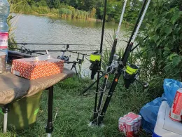 Teichwirtschaft Nexing