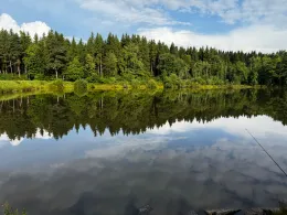 Jugendherbergsweiher Villingen