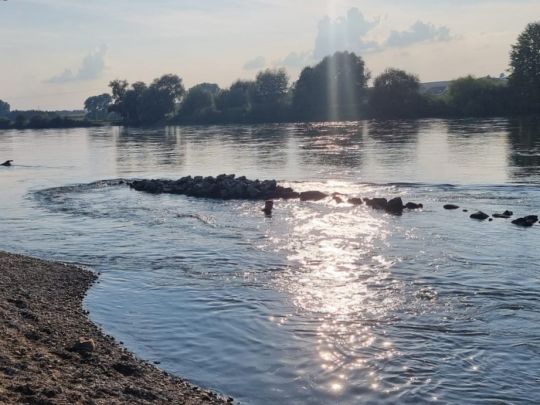 Donau (Eining)