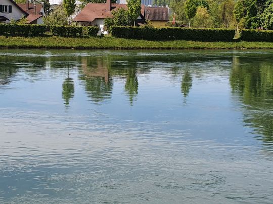 Aare (Olten)-2