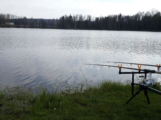 Kiesgrube Företh (Luhe-Wildenau)-1