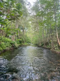 Leine (Heiligenstadt)-1