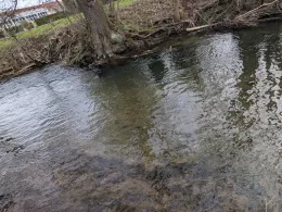 Leine (Heiligenstadt)-4