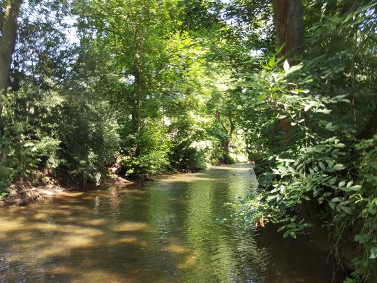 Leine (Heiligenstadt)-2