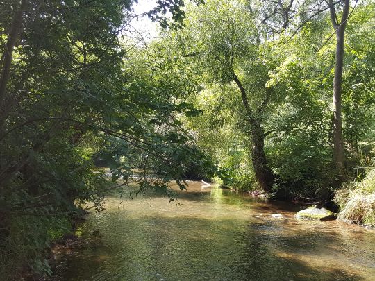 Leine (Heiligenstadt)-3