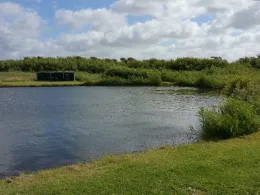 Put and Take Lodbjerg Hede-1