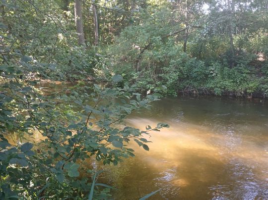 Kleine Roth (Eckersmühlen)-3