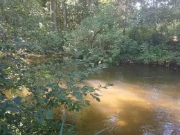 Kleine Roth (Eckersmühlen)-3