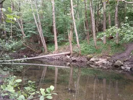 Kleine Roth (Eckersmühlen)