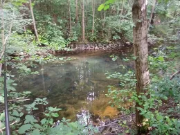 Kleine Roth (Eckersmühlen)-2