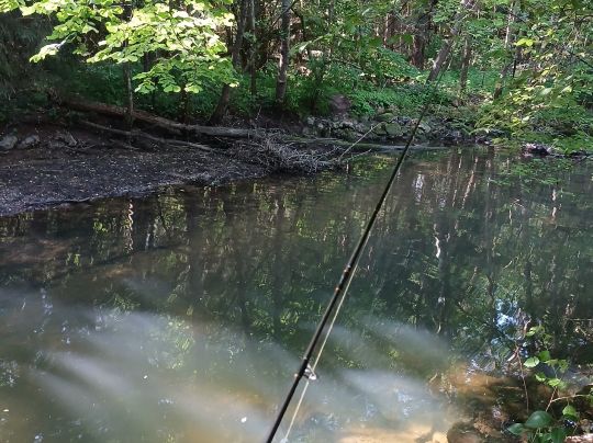 Kleine Roth (Eckersmühlen)-1