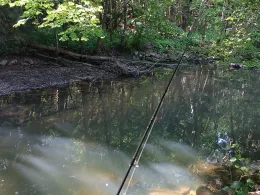 Kleine Roth (Eckersmühlen)-1