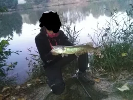 Stau Kleinhelmsdorf-0