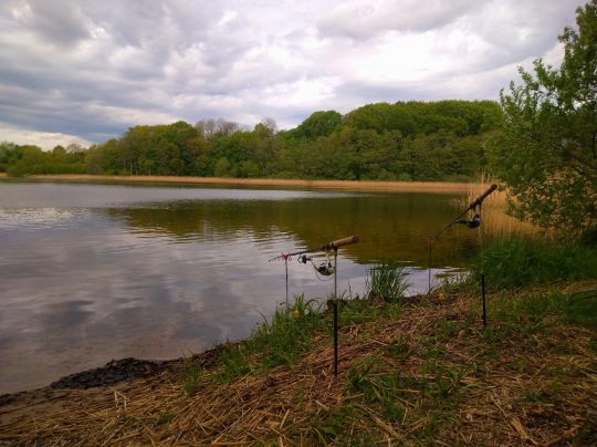 Großer Langsee (Süderfahrenstedt)-3