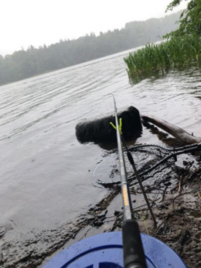 Großer Langsee (Süderfahrenstedt)-2