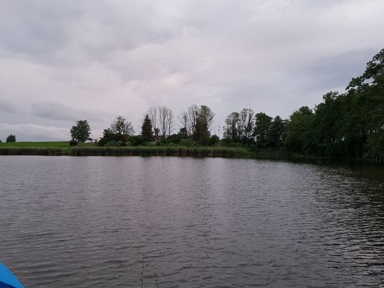 Oberer Weiher (Eintürnen)-4