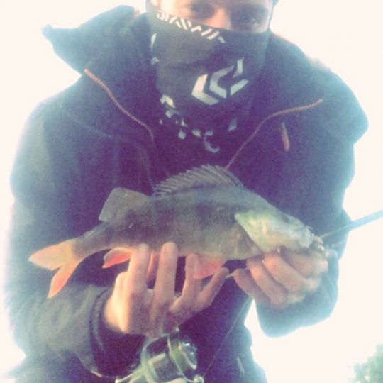 Center Parcs Limburgse Peel-1