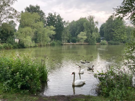 Center Parcs Limburgse Peel-3