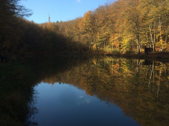 Geisheck-Weiher-3