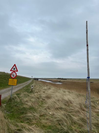 Rømø Lystfiskerparadis-1