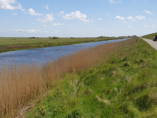 Rømø Lystfiskerparadis-2