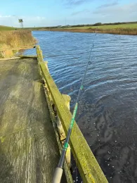 Rømø Lystfiskerparadis-4