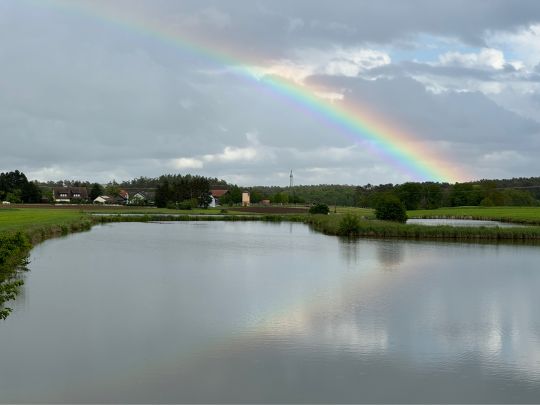 Ruppertweiher (Putzenreuth)-2