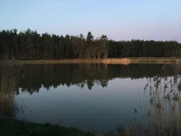 Ruppertweiher (Putzenreuth)-4