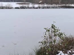 Ruppertweiher (Putzenreuth)