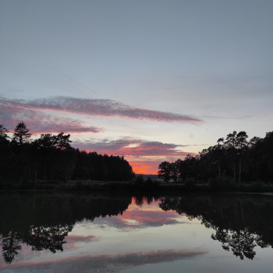 Ruppertweiher (Putzenreuth)-1