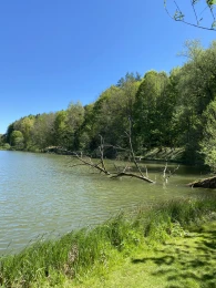 Weiherhaus Weiher-1