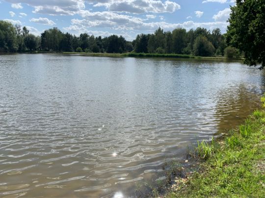 Teich Mallenchen ALLE ANGELN