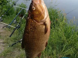 Weser (Landesbergen)-1