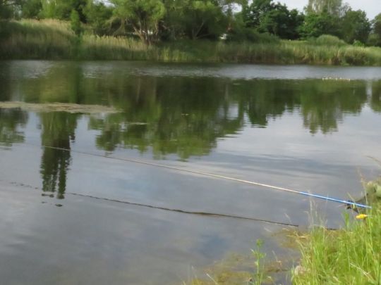 Magdalenenteich (Aken)