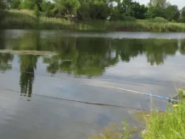 Magdalenenteich (Aken)