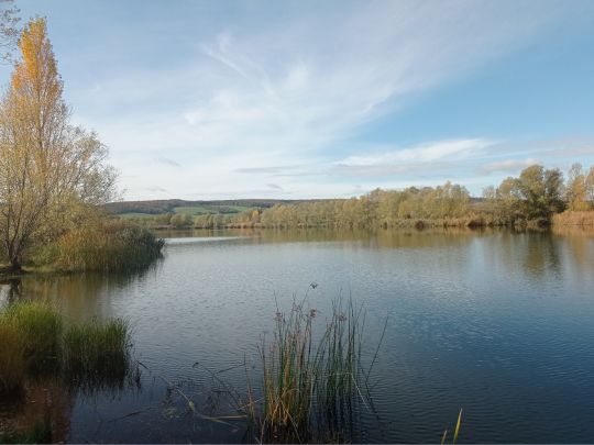 Kiesgrube Roßleben-1
