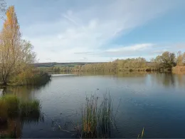 Kiesgrube Roßleben-1