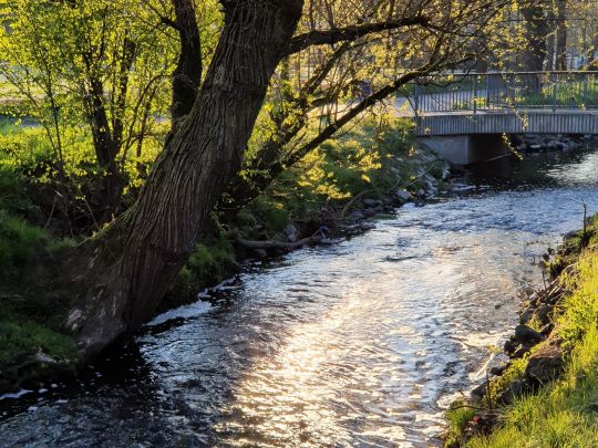 Eschbach (Frankfurt-Harheim)-4